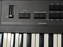 KORG DW-8000 + Case (中古)