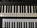 KORG DW-8000 + Case (中古)