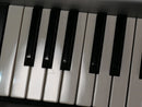Roland Fantom-X7 + Case (中古)