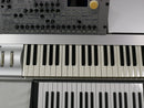 KORG RADIAS (中古)