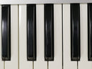 KORG RADIAS (中古)