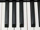 KORG KRONOS2 88 + Hardcase (中古)