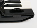 KORG MS-10 (中古)