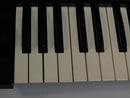 KORG MS-10 (中古)