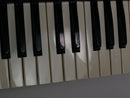 KORG MS-10 (中古)