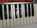 moog Source (中古)