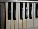 moog Source (中古)