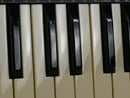novation Bass Station (中古)