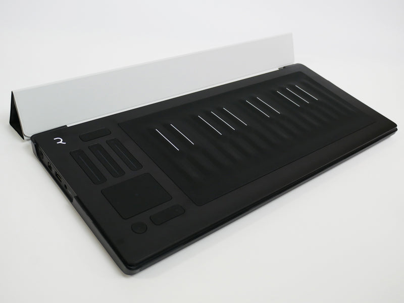 ROLI Seaboard RISE 25 + Flip Case (中古)