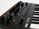 KORG monologue + AC Adapter (中古)