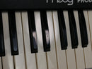 moog Prodigy + ARMOR Flight Case (中古)
