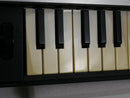 KORG microKORG XL (中古)