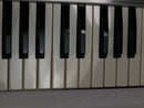 moog Source (中古)