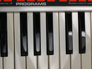 moog Source (中古)