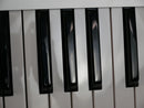 Roland GAIA 2 (中古)