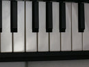 KORG microKORG XL (中古)