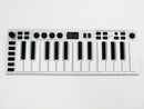 ESI Xsynth (中古)2