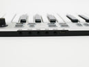 ESI Xsynth (未使用中古品)