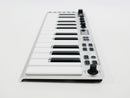 ESI Xsynth (未使用中古品)