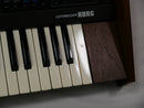 KORG 800DV + ARMOR Case (中古)