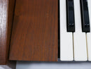 KORG 800DV + ARMOR Case (中古)