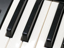 Roland V-Synth ver2 (中古)