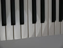 KORG ARP ODYSSEY Rev.2 (中古)