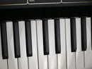 KORG ARP ODYSSEY Rev.2 (中古)