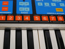 moog Source (中古)