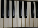 moog Source (中古)