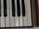 moog Source (中古)
