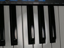 novation Bass Station II (中古)