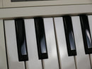 KORG microKORG S (中古)