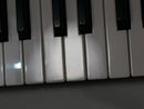 Waldorf IRIDIUM Keyboard (中古)