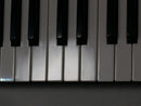 Waldorf IRIDIUM Keyboard (中古)