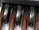 Hillwood Basky II BS-4322 (中古)