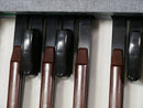 Hillwood Basky II BS-4322 (中古)