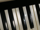ARP Odyssey Rev.1 (中古)