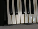 ARP Odyssey Rev.1 (中古)