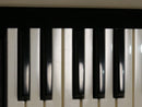 ARP Odyssey Rev.1 (中古)