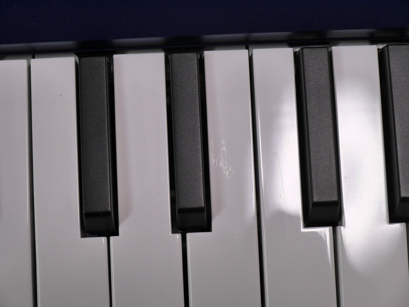 KORG Liverpool  (中古)